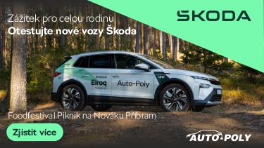 Auto Poly 08 2025
