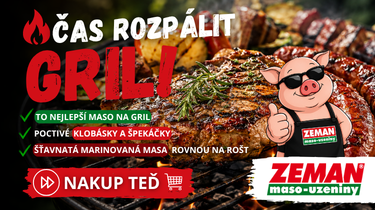 Akce ZEMAN